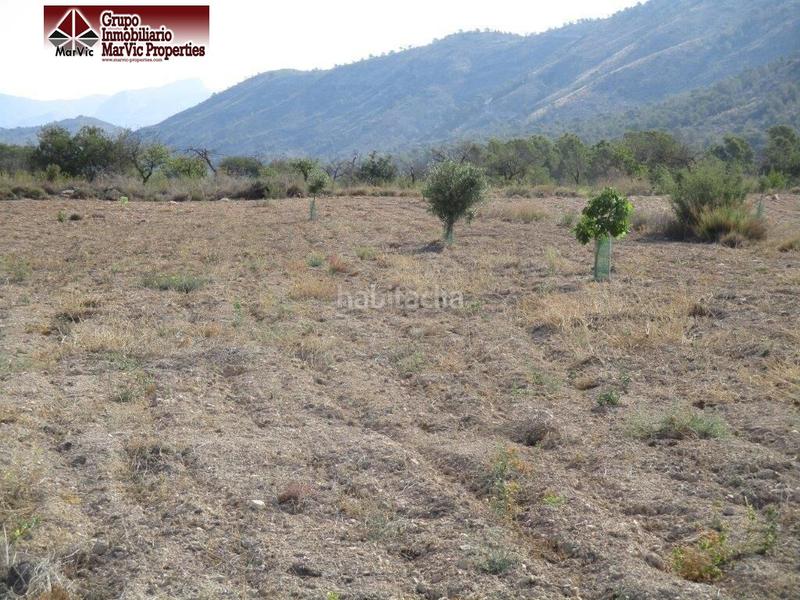 Foto fe45d902-a814-482f-a770-5a2312c7ee15. Terreny residencial a Orxeta