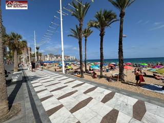 Pis a Casco Antiguo - Puerto. Espectacular piso en primera línea de playa de levante, benidorm