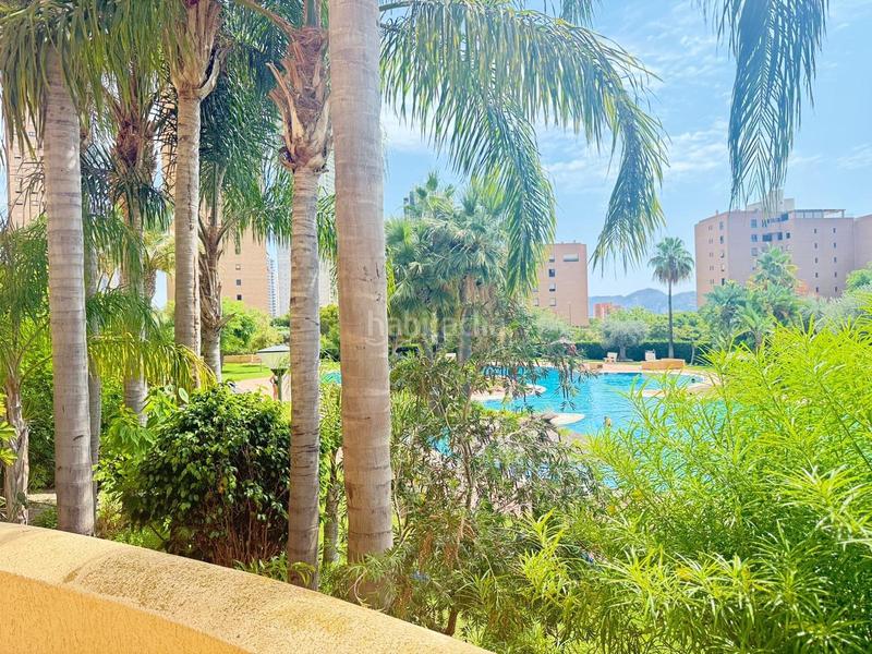 Foto 045502cd-05ca-411c-a482-0c092718dfd6. Appartement avec parking piscine dans Playa Poniente Benidorm