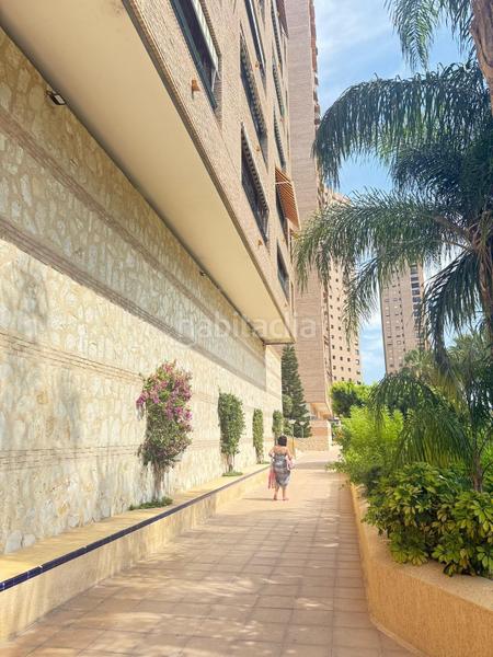 Foto a1b5f34d-bdda-4528-8cad-f946084a1369. Appartement avec parking piscine dans Playa Poniente Benidorm