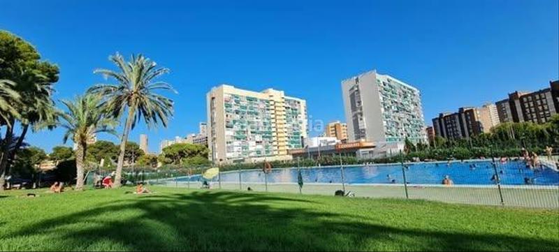 Foto 283e485d-3f0e-48fd-904c-0b41c08d2e68. Studiowohnung mit parking pool in Juzgados - Plaza de Toros Benidorm