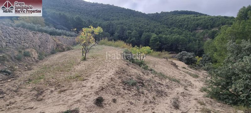 Foto e2d64ed9-18c5-459f-889e-258f0d1e4bcd. Casa  rural en sella con 67.000 m2 de terreno naturaleza, privacidad y encanto en Orxeta