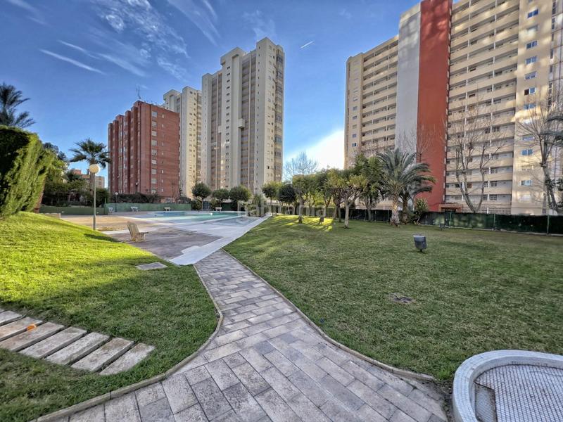 Foto 4f3167a9-d135-4efb-b7a1-683f9e0750dd. Apartament amb aparcament piscina a Juzgados - Plaza de Toros Benidorm