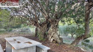 Terrain résidentiel à Benifato. Amplia parcela en beniarda  oportunidad única