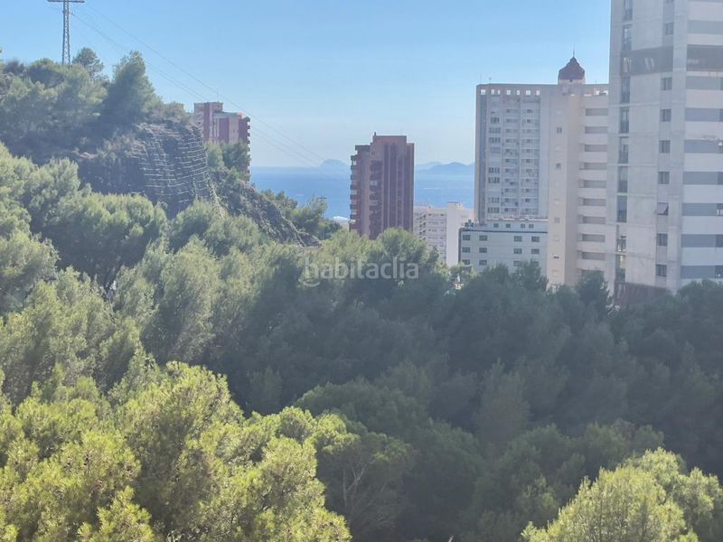 Foto 2310da25-251c-46e7-9bb6-ad93d79d78fc. Appartement mit parking pool in Rincón Alto Benidorm