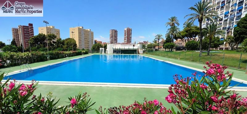 Foto 7954a0ae-e092-4b1c-bec0-9840696cffff. Apartament amb piscina a Juzgados - Plaza de Toros Benidorm