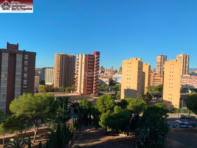 Foto b10e1aea-dedd-4998-9071-be8572a846fa. Estudi amb aparcament piscina a Juzgados - Plaza de Toros Benidorm