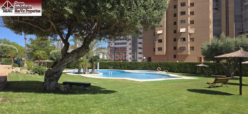 Foto 0852810a-21ef-4d51-92c6-43fe5ec2d6fb. Pis amb aparcament piscina a Juzgados - Plaza de Toros Benidorm