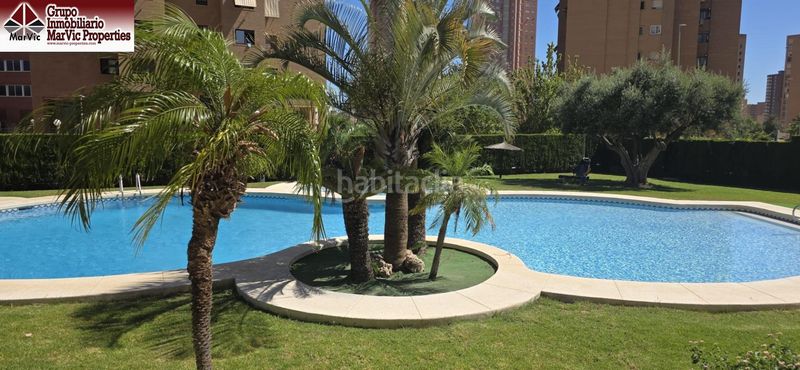 Foto 5ac7688a-600a-4e5b-9aef-f50582088a82. Pis amb aparcament piscina a Juzgados - Plaza de Toros Benidorm