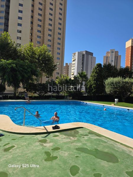 Foto 38fdd22a-5104-4af8-a8f6-dd643d68c1a1. Apartament amb aparcament piscina a Levante Alto Benidorm