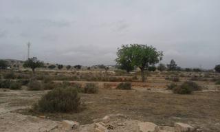 Mas  Calle la sardina. Se vende o alquila terreno con casa para reformar , 25.000 mts d