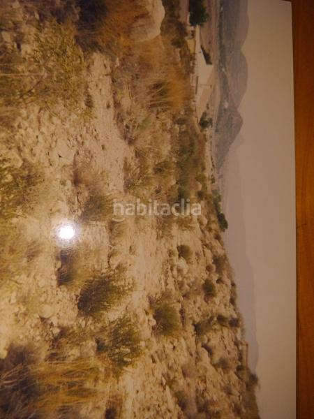 Foto 27fc7416-845f-4d7f-9795-ea09e52cb670. Terreno residencial se vende terreno rustico , 2600 metros en Sant Vicent del Raspeig