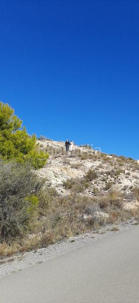 Foto a10c8fa8-c7bf-4f6f-b2ed-ae37212df115. Terreno residencial se vende terreno rustico , 2600 metros en Sant Vicent del Raspeig