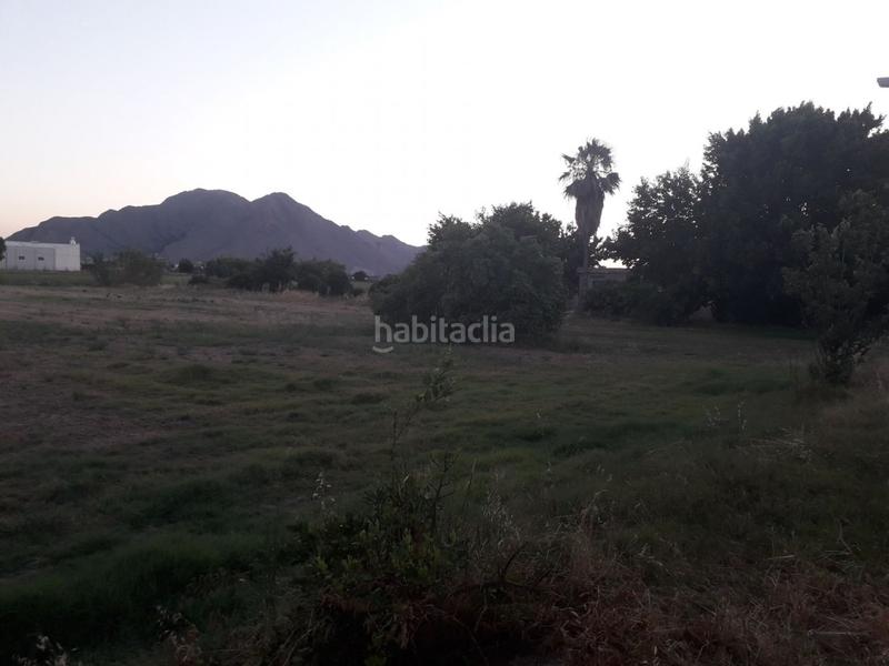 Foto bdee58ef-bdf9-4a8b-8170-1122e4d88342. Rural plot in Callosa de Segura