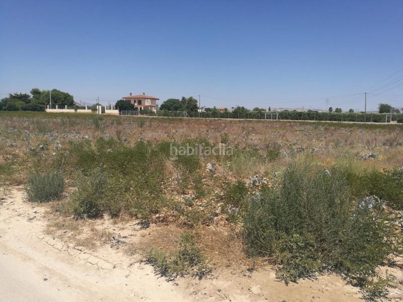 Foto 504a8b7b-86b7-43a6-be50-f1eac8851cbd. Terreny residencial a Centro Elche / Elx