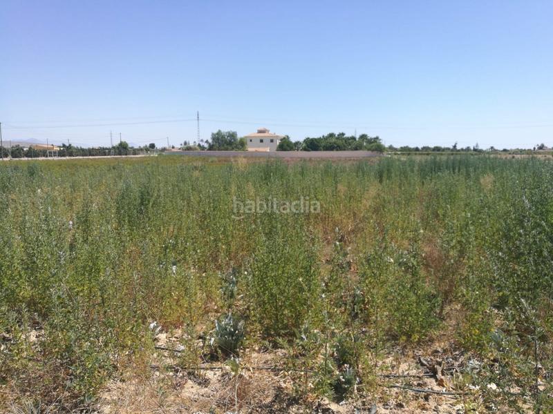 Foto b0ec3401-a4cf-4824-b147-df5bd976d678. Terreny residencial a Centro Elche / Elx