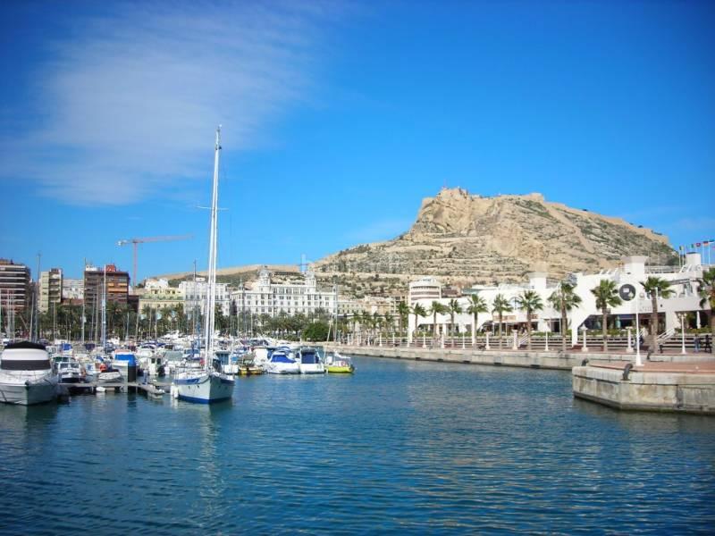 Foto 2f71c611-1b5a-4f32-ad76-ec817376d041. Aparcament cotxe a Altozano - Conde Lumiares Alicante
