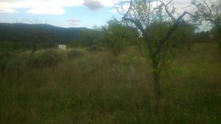 Terrain résidentiel  Partida cami carrascal. Tiene casa en ruinas ,. tiene cueva con agua natural ,