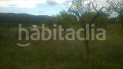 Foto 92a1d0e9-43d9-4244-a8df-2580846f1150. Finca rústica a Torre de les Maçanes (la)