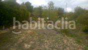 Foto f75bbb97-71fc-4b84-b9b9-f079666529a3. Finca rústica a Torre de les Maçanes (la)
