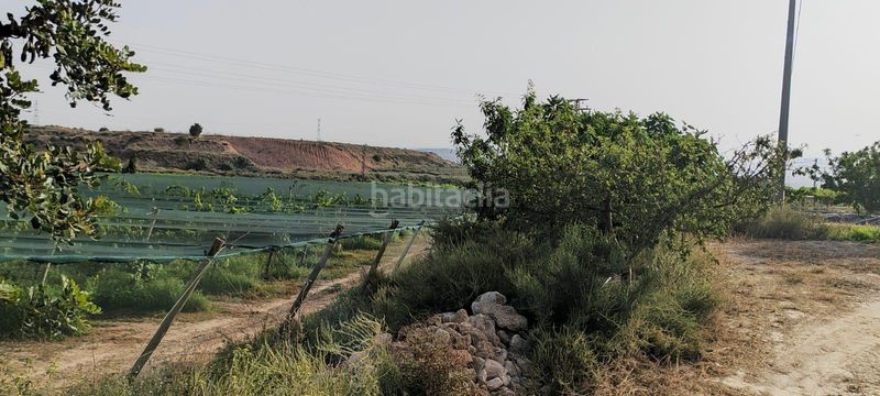 Foto 11db8e3d-11fe-4cc7-9fb4-f457d657f1ff. Residential plot in Monforte del Cid