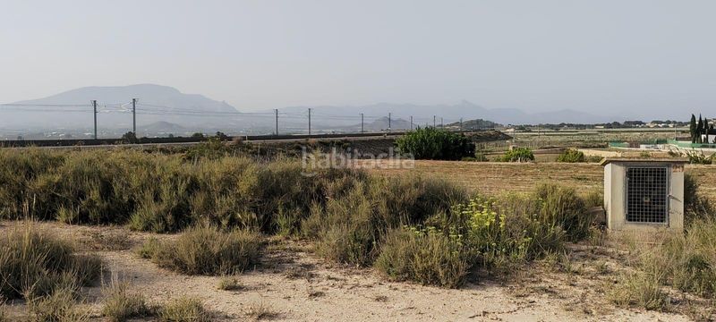 Foto ba39df03-6893-438b-8d35-c65ba6be9e71. Residential plot in Monforte del Cid
