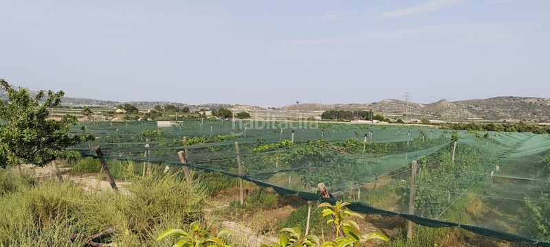 Foto ff1ab973-7422-44e1-82a8-9cbc3924d225. Residential plot in Monforte del Cid