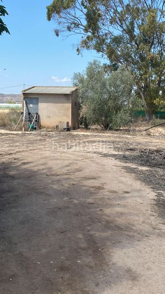Foto 4dc0f84a-7600-4246-aea0-2e26b0bcee30. Finca rústica a Monforte del Cid