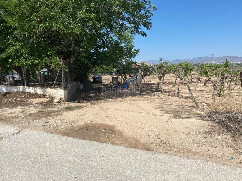 Foto 5bb280bd-9a63-4234-ade7-48ade1d6c5a0. Finca rústica a Monforte del Cid