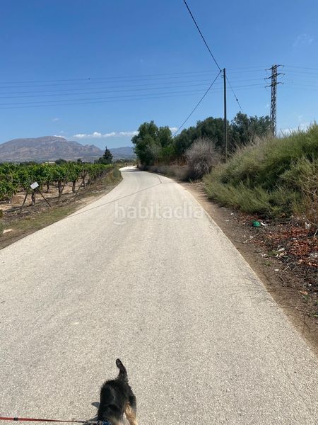 Foto 5fb3b058-b91c-4931-9f83-778d98ee88af. Finca rústica a Monforte del Cid