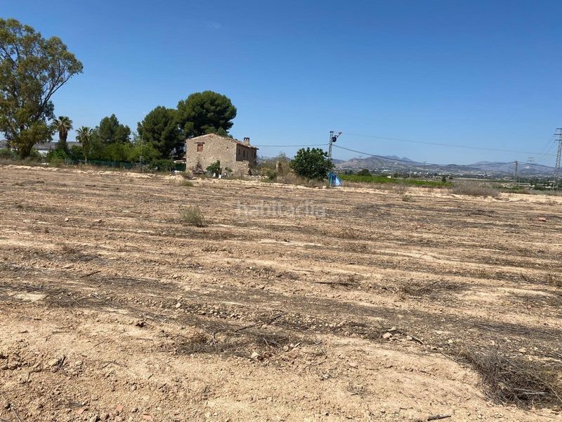 Foto f2a17eb2-a9c6-4368-aaa8-d124d6b6afe0. Finca rústica a Monforte del Cid