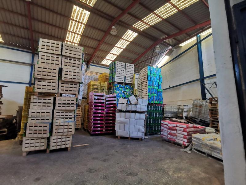 Foto 08a03105-2c9f-4ca3-99d9-5291b27181ef. Nau industrial a Monforte del Cid