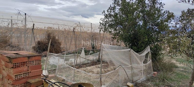 Foto 00423123-7dff-4162-98b2-b419ba2eef0e. Finca rústica se vende terreno a 20 minutos de alicante con agua y casa para reformar en Monforte del Cid