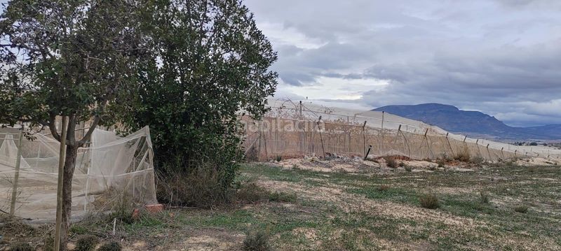 Foto 4028d79c-8d48-44eb-bd5e-8ce71c46c3da. Finca rústica se vende terreno a 20 minutos de alicante con agua y casa para reformar en Monforte del Cid