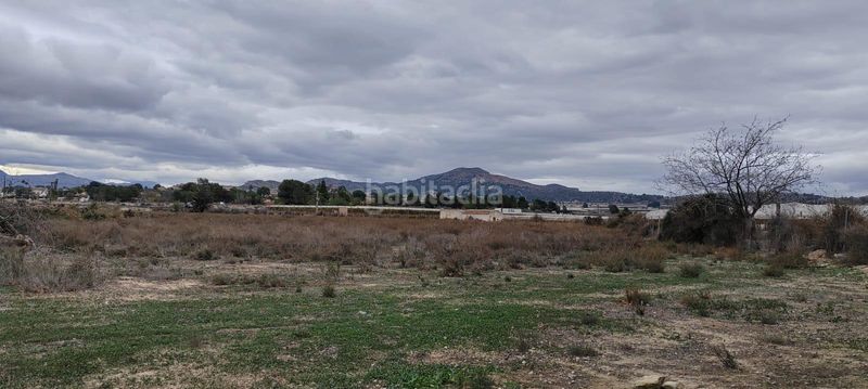 Foto 82bfc9b0-02c1-468d-8e49-825b241511ba. Finca rústica se vende terreno a 20 minutos de alicante con agua y casa para reformar en Monforte del Cid