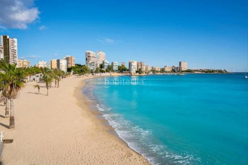 Foto eb58363e-dcbe-42ba-8a29-29d54b432bcc. Flat in Carolinas Altas Alicante