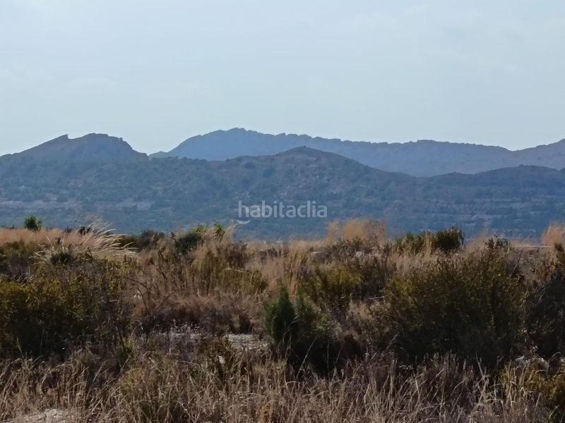 Foto 48c50e21-6c03-4eab-8ecb-c0a70dbf7322. Finca rústica a Moralet Alicante