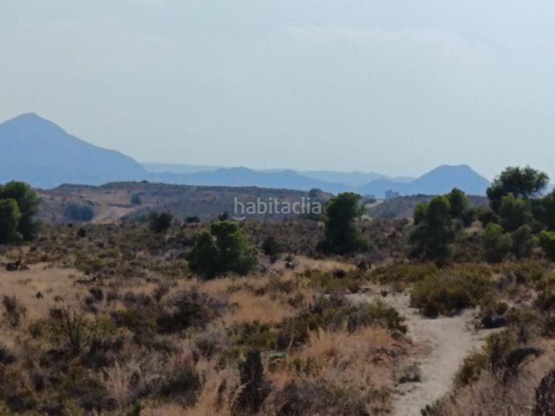 Foto c423df26-e64f-4839-8624-5e457f693b41. Finca rústica a Moralet Alicante