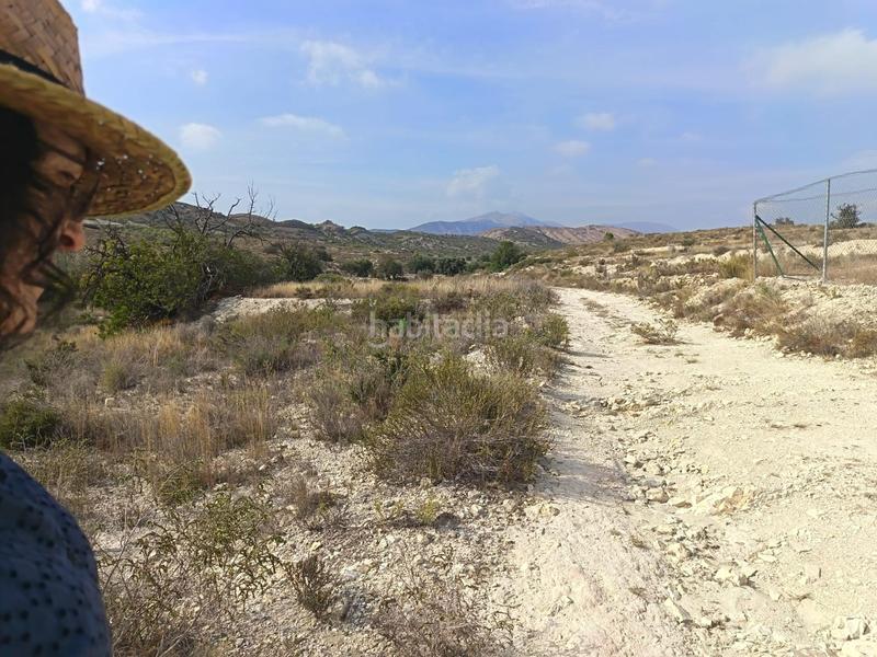 Foto 4a23cf13-98fc-461d-a53a-df9fe19c00e2. Terreno residenziale in Moralet Alicante