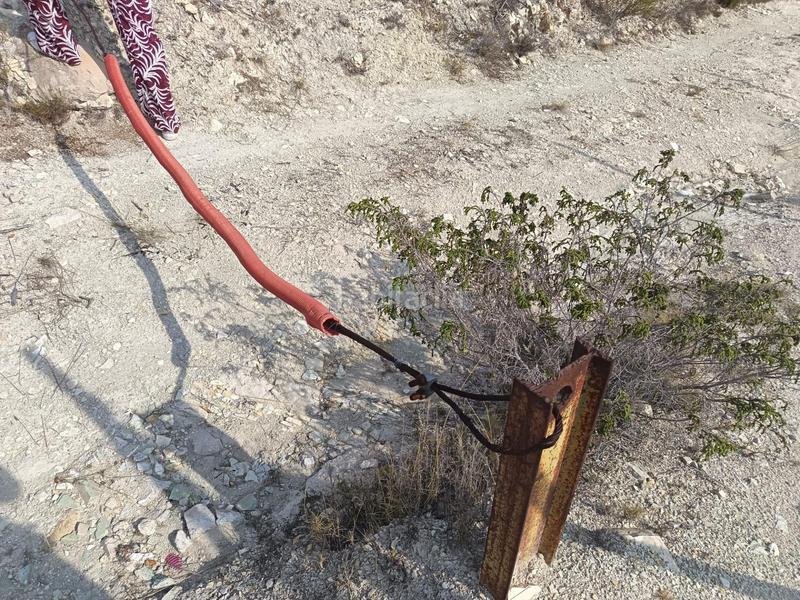 Foto 573d1820-973a-4c92-8432-f217caf1e11f. Terreno residenziale in Moralet Alicante