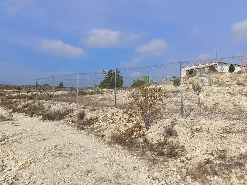 Foto 605b4cae-e725-416f-b1df-974860741a36. Terreno residenziale in Moralet Alicante