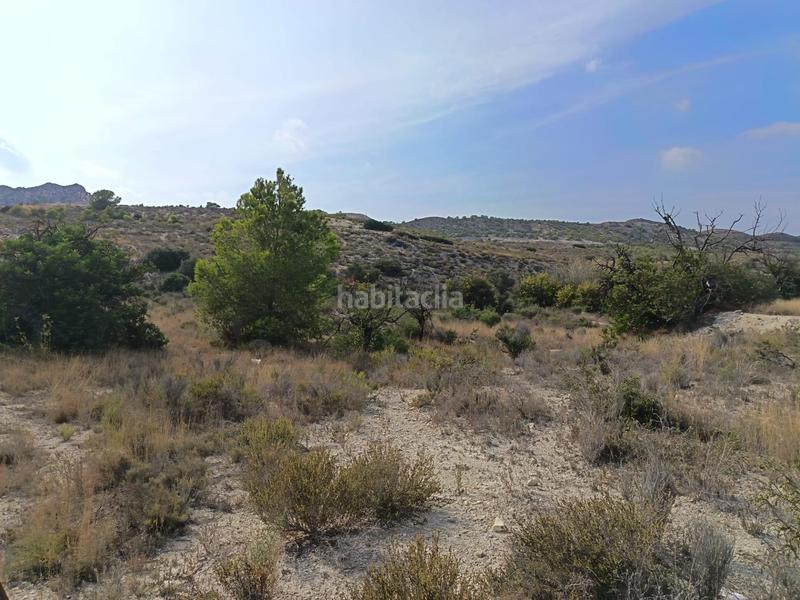 Foto 64fe1354-47b5-47cf-a762-2ca0b6f2e8fe. Terreno residenziale in Moralet Alicante