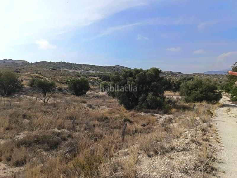 Foto e87ffd9c-65d9-4a9f-919c-29e9fde422a7. Terreno residenziale in Moralet Alicante