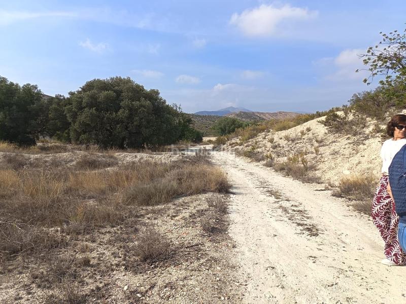 Foto 0d477059-af56-4531-8c92-86b7b4038150. Terreno residenziale in Moralet Alicante