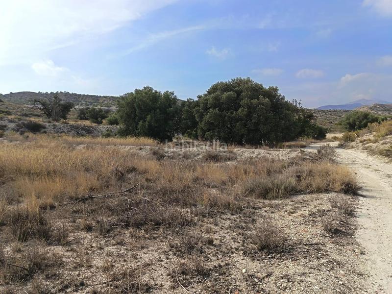 Foto 11d35c1c-37a7-457e-b187-6337d17f1e41. Terreno residenziale in Moralet Alicante