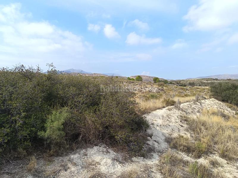 Foto 2f892629-0d07-40d5-a819-71b251f6e8dc. Terreno residenziale in Moralet Alicante