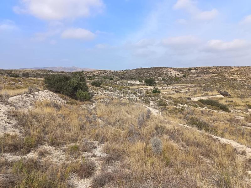 Foto 9a8d98be-8b34-4df8-bb42-1730455b7041. Terreno residenziale in Moralet Alicante