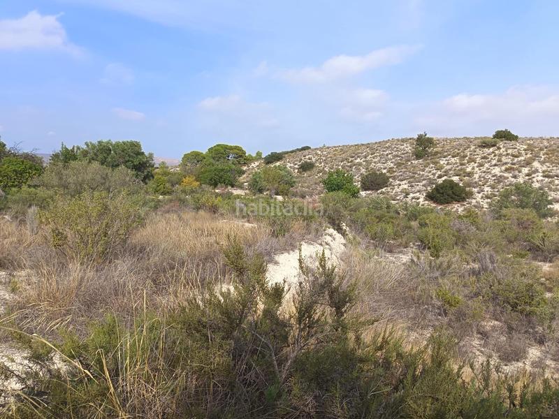 Foto a793aa0d-7566-4d2e-befc-24844e3a9cd4. Terreno residenziale in Moralet Alicante