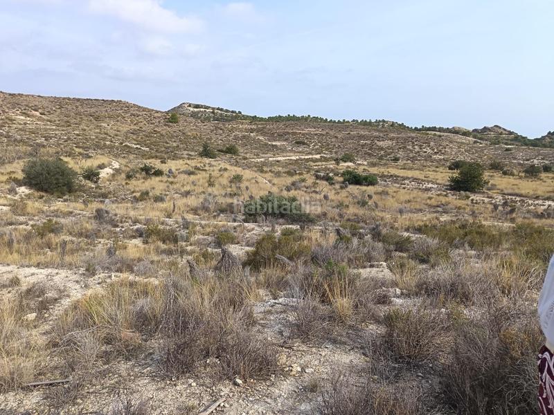Foto d15964e8-3e29-494d-bba8-710fa45ca29b. Terreno residenziale in Moralet Alicante
