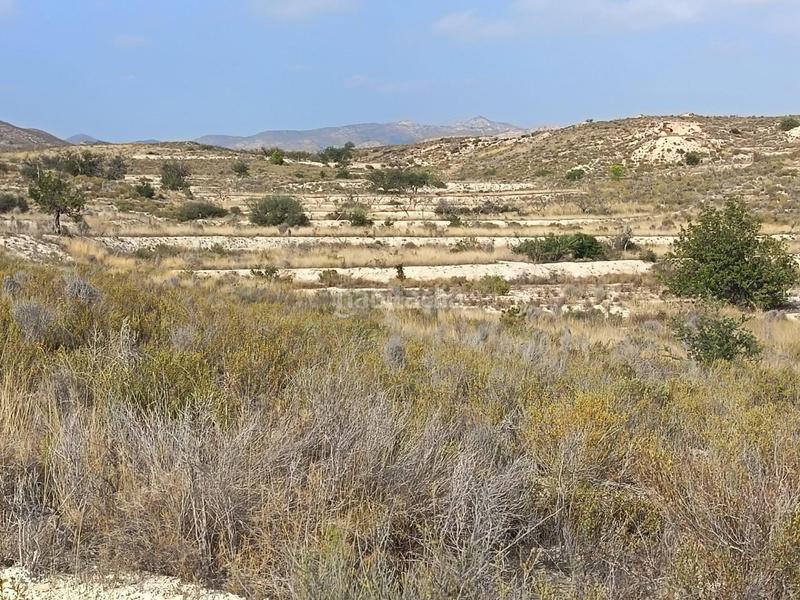 Foto d2326d56-a487-41cd-ac4b-7f4ecfee415a. Terreno residenziale in Moralet Alicante